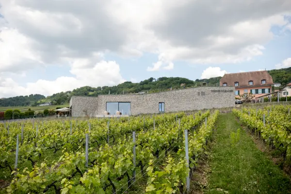 Charme du Chasselas — visuel 2