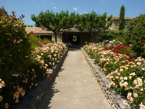 Pause en Luberon — visuel 3
