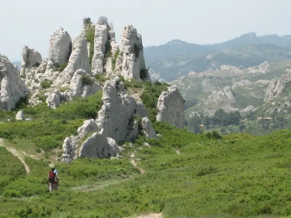 Lâcher prise dans les Alpilles — visuel 2