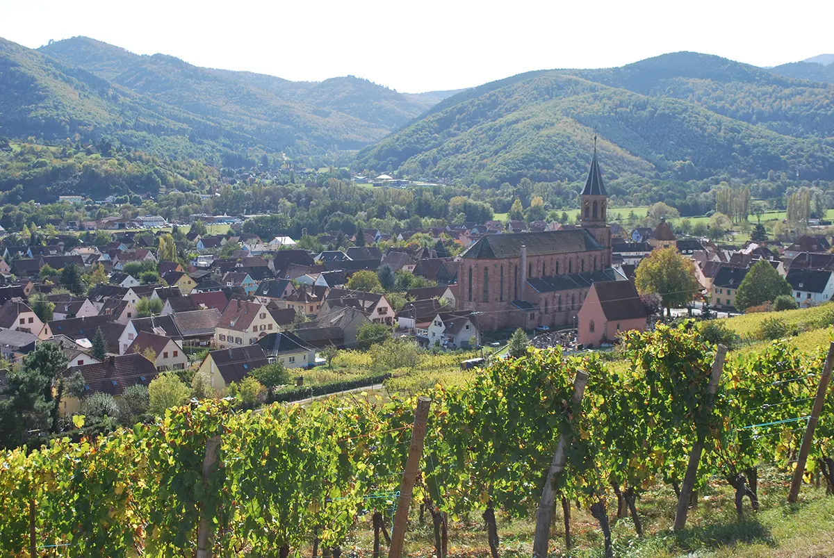 Coffret Vignoble et Gourmandise