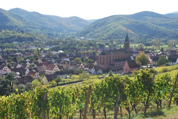 Coffret Vignoble et Gourmandise — visuel 1