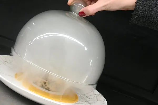 Instant Gastronomique — visuel 1