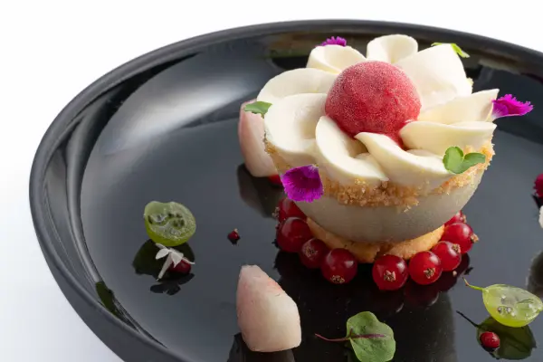 Menu Figuier - apéritif - accord mets et vins - boissons — visuel 1