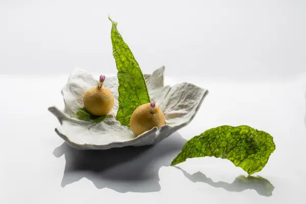 " Voyage Botanique"Menu Reflet en 6 services — visuel 2