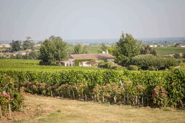 Séjour à la Maison des Vignes — visuel 3