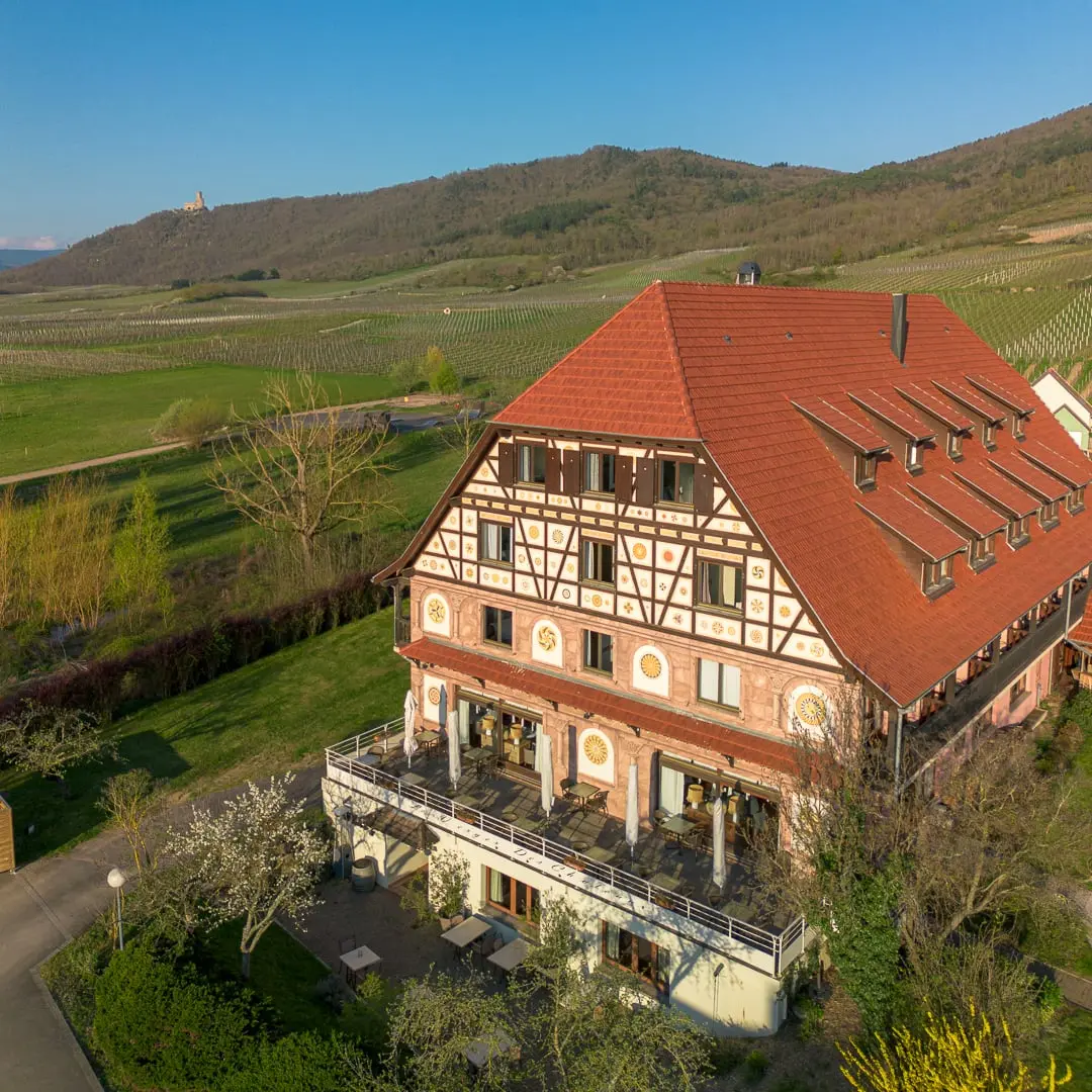 Découverte de la route des vins