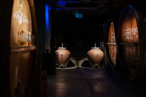 Visite de cave immersive, dégustation et repas planchette — visuel 3