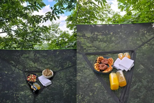 Goûter ou apéro perché à la cime des arbres — visuel 2
