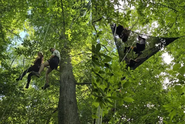 Goûter ou apéro perché à la cime des arbres — visuel 3
