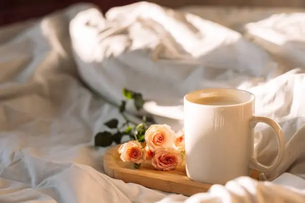 Escapade Cocooning