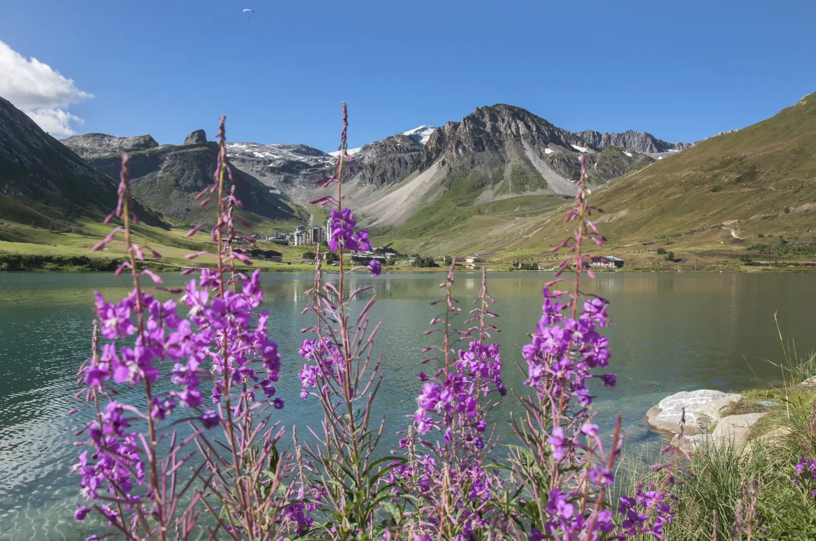 Un été en montagne