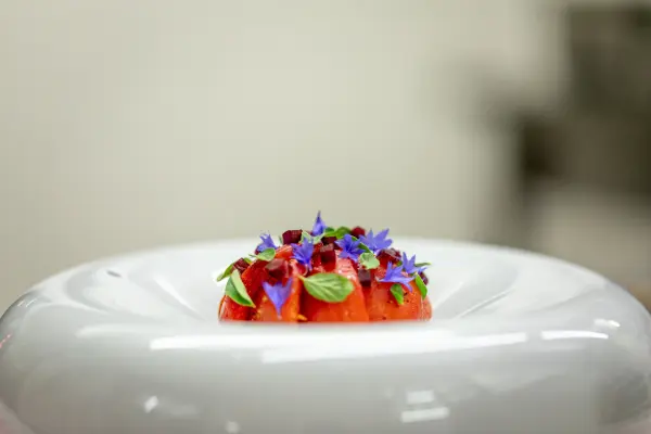 Menu "E" et ses accords mets et vins — visuel 1