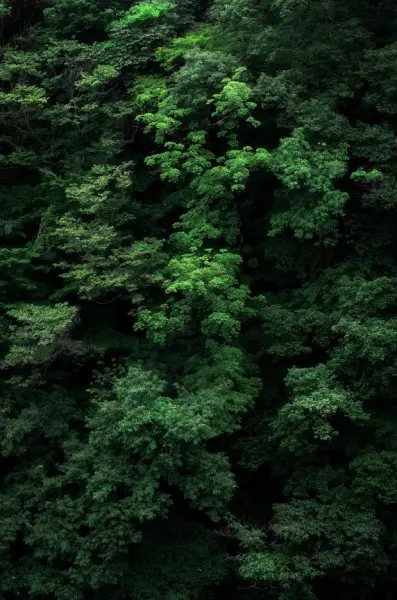 L'Envol, signature Bernard Loiseau — visuel 3