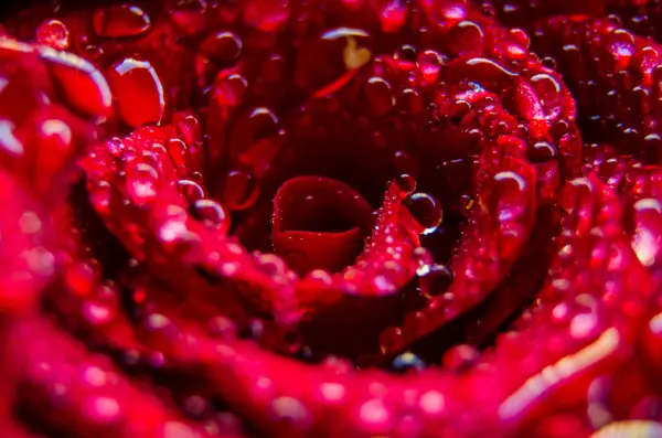 Séjour Escapade Romantique - Dîner Gastronomique — visuel 2