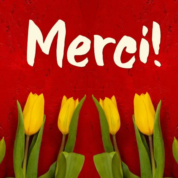 Coffret Château "Merci" — visuel 1