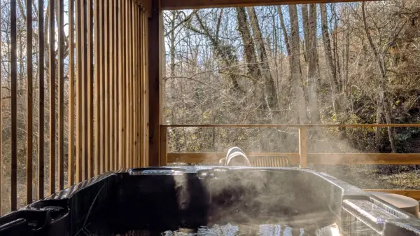 Nuitee en lodge avec spa privatif - valable en semaine — visuel 2