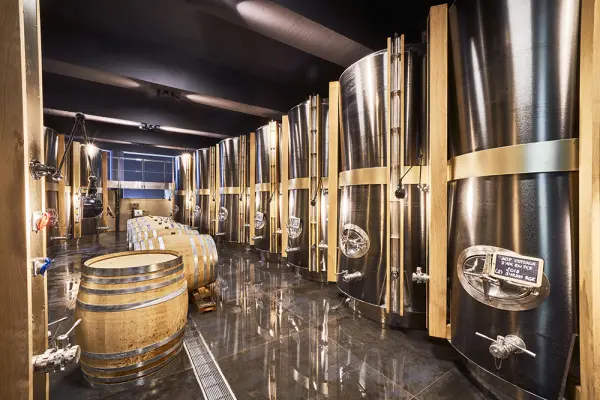 Dégustation des vins du Domaine — visuel 1