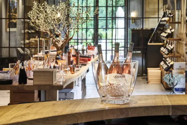 Dégustation des vins du Domaine — visuel 2