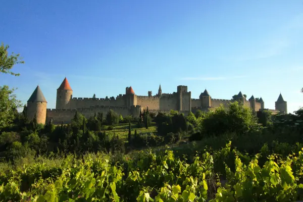 Séjour découverte vin et patrimoine — visuel 3
