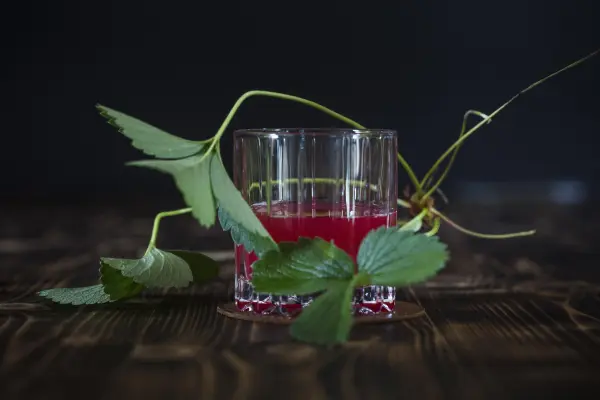 Découverte - "Prémices", Apéritif et Sélection de Jus inclus — visuel 3