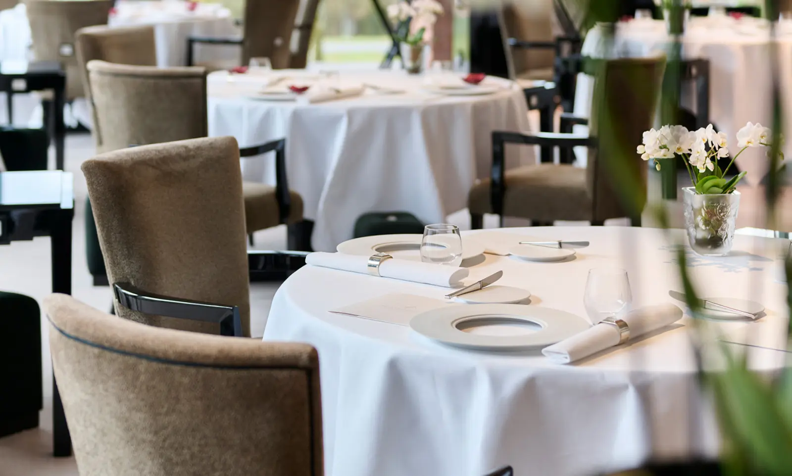 Menu gastronomique RENE LALIQUE en 8 plats