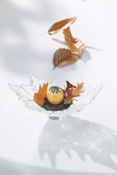 Menu gastronomique VALSE - 4 plats — visuel 1