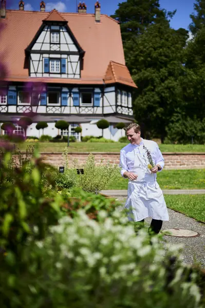 Menu gastronomique TERROIR VEGETAL - 4 plats — visuel 1