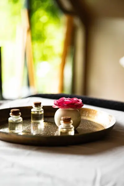Massage 1h aux huiles chaudes — visuel 2