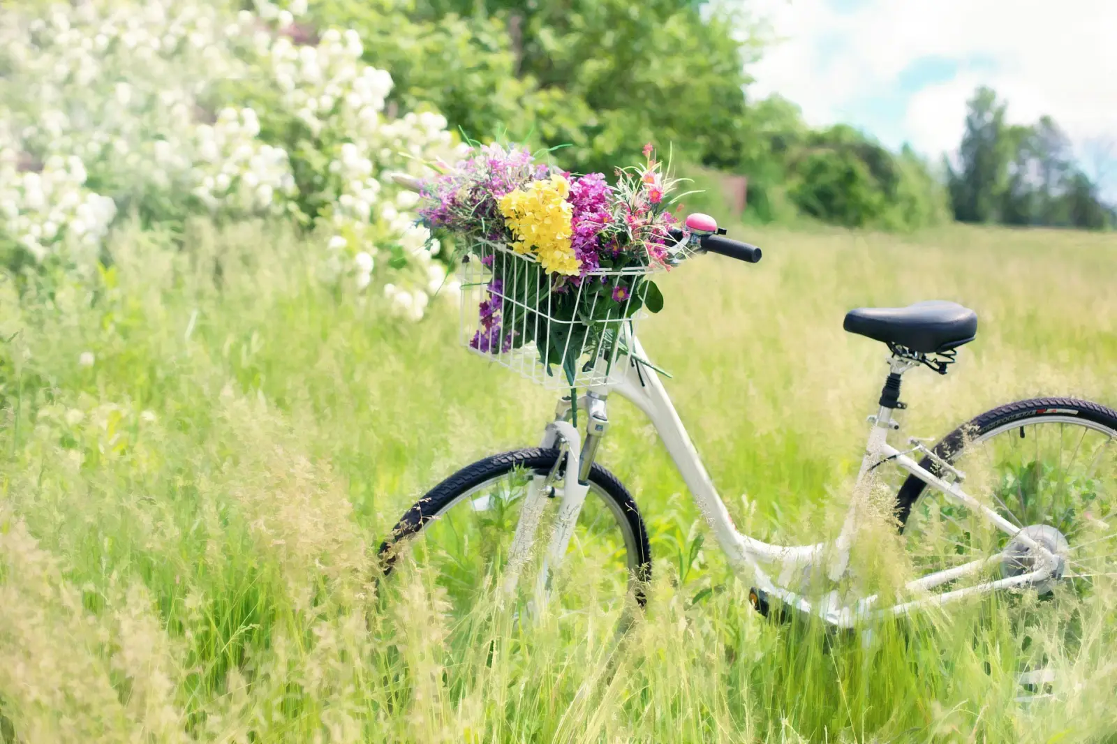 Forfait "Balade du marché