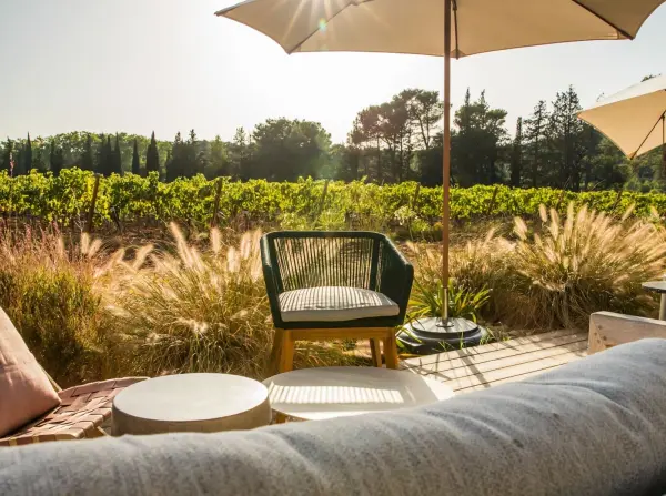 Apéritif dans les vignes à l'Ambar — visuel 2