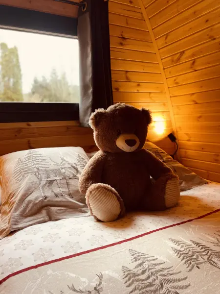Une nuit insolite dans le chalet Marmotte — visuel 3