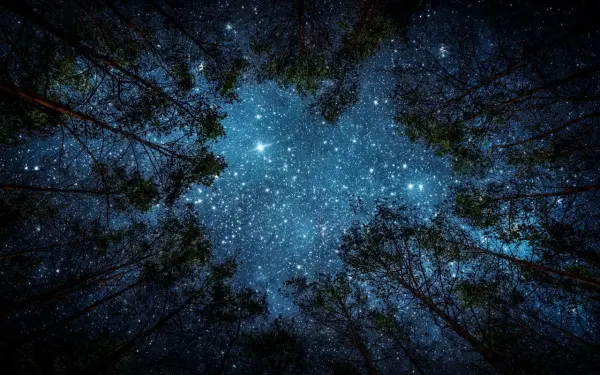 La Cabane Nordique – Évasion Sensorielle en Forêt — visuel 1