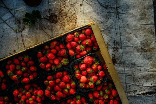 Instant Plaisir — visuel 2