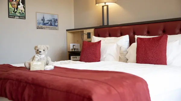 Chambre et Demi-Pension,vue montagnes — visuel 2