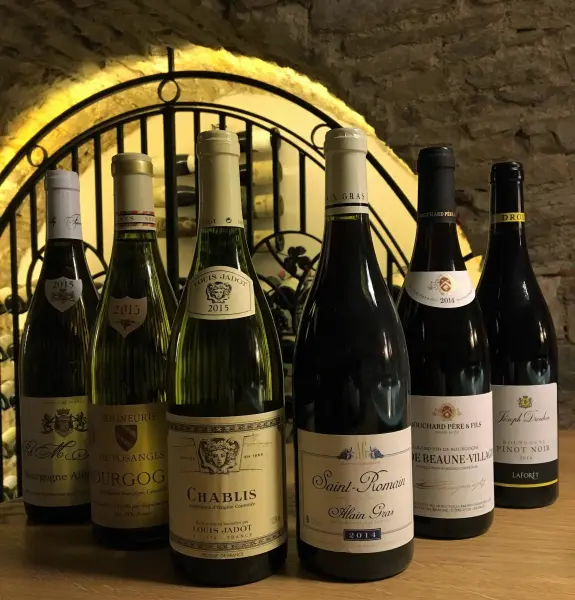 Pourpre & Or — visuel 1