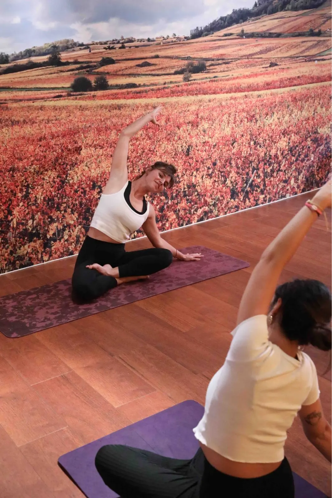 Yoga en cours particulier