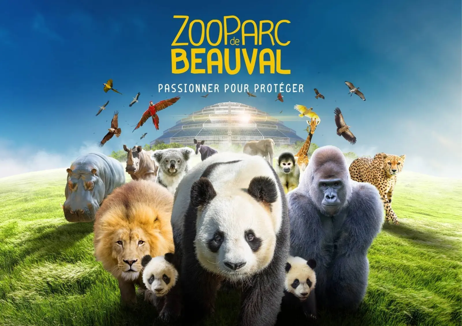 Séjour Zoo Break