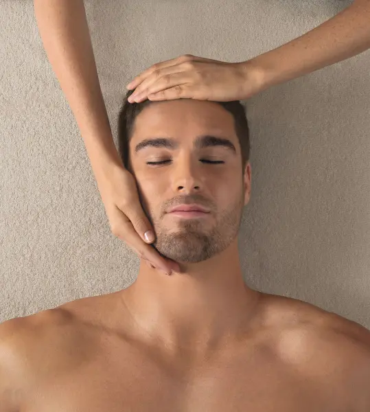 Homme Idéal — visuel 2