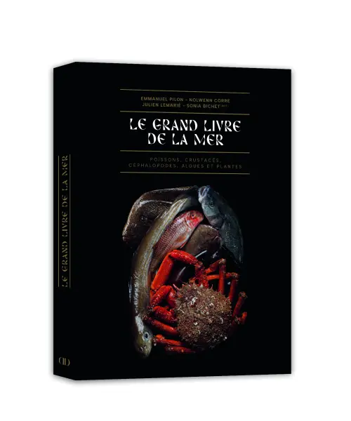Le Grand Livre De La Mer — visuel 1