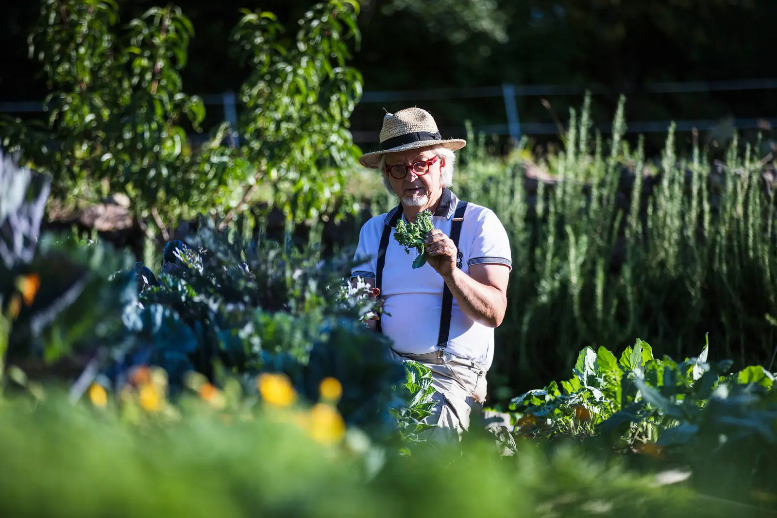 Dimanche au Jardin