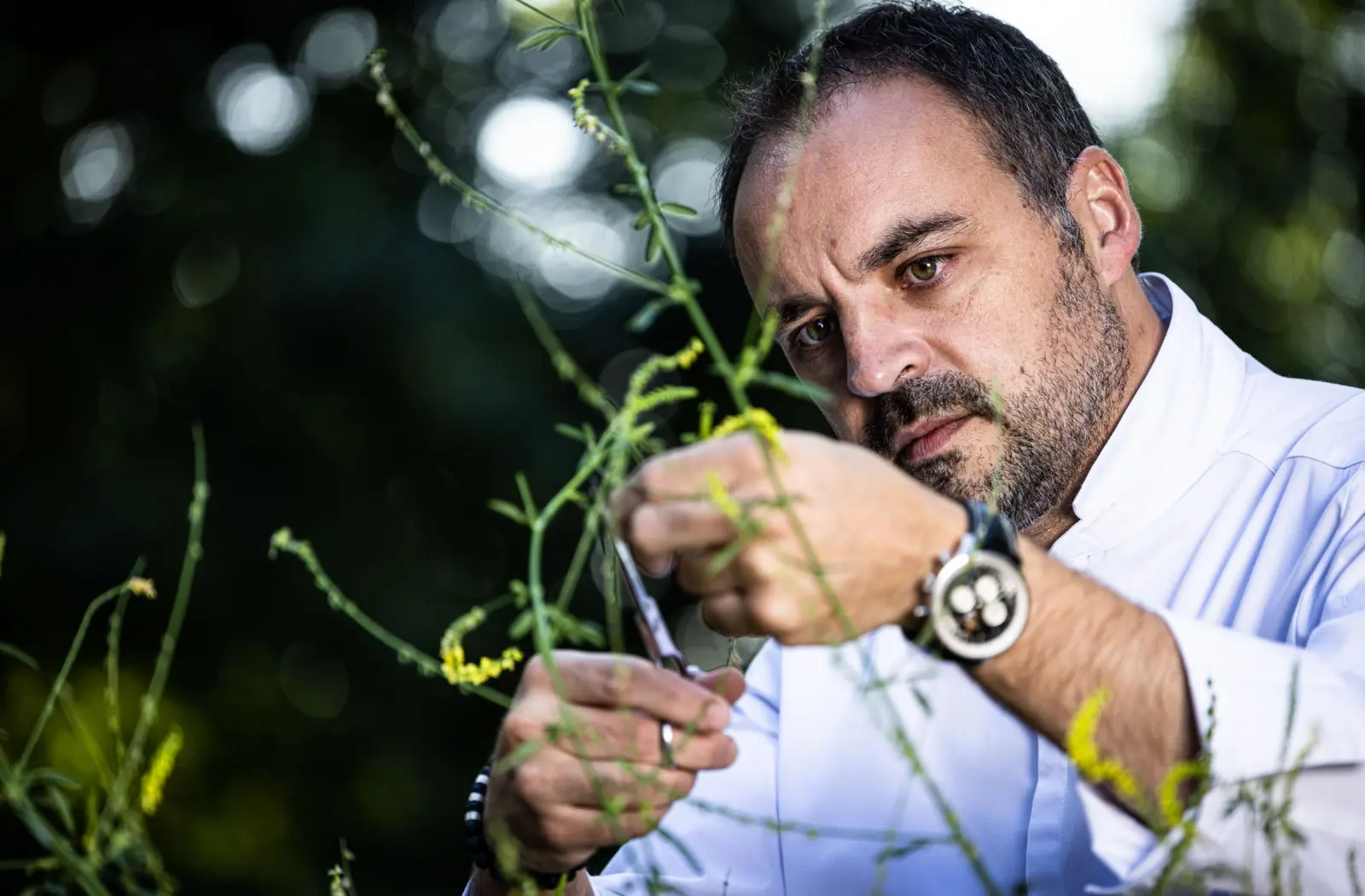 Rouage n°9 - Accords mets et vins