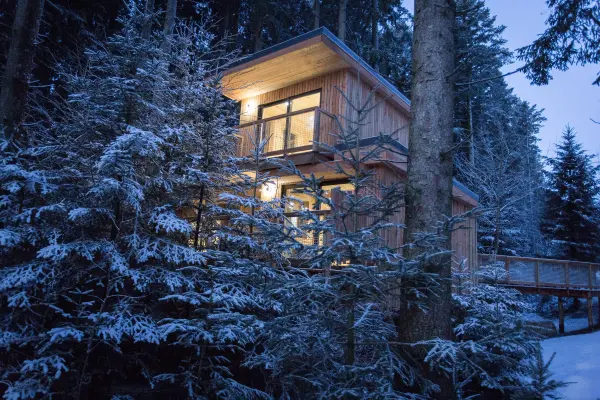 Séjour insolite en famille ou entre amis en Cabane Family Design et Spa — visuel 1