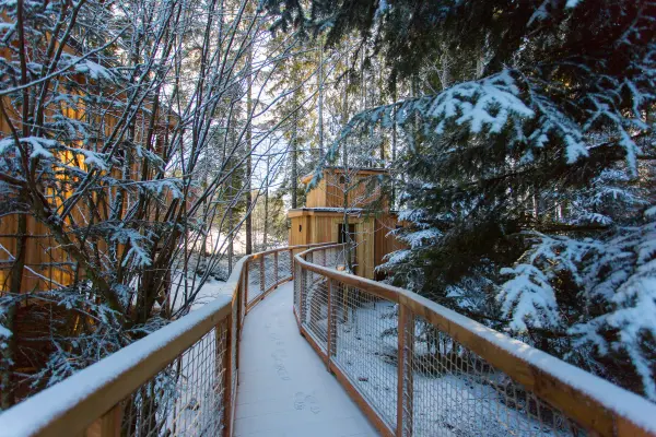 Séjour insolite en famille ou entre amis en Cabane Family Design et Spa — visuel 2