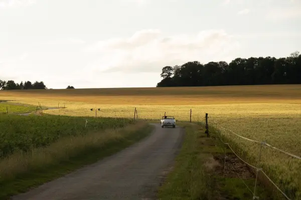 Les amoureux du Barn — visuel 3