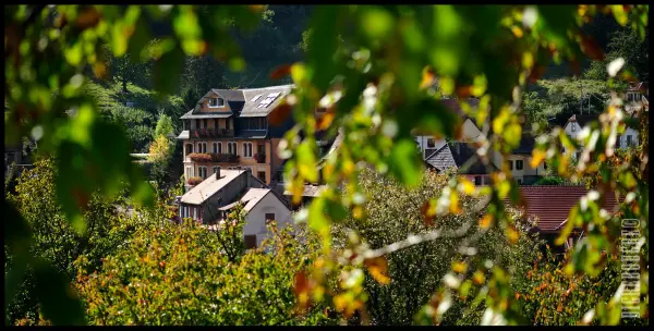 LA NUIT gourmande - Campanule — visuel 3