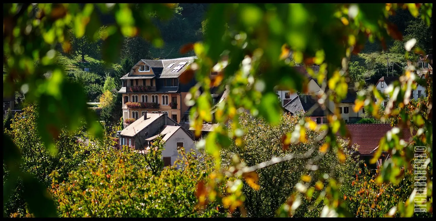 DEUX NUITS en demi-pension - Campanule