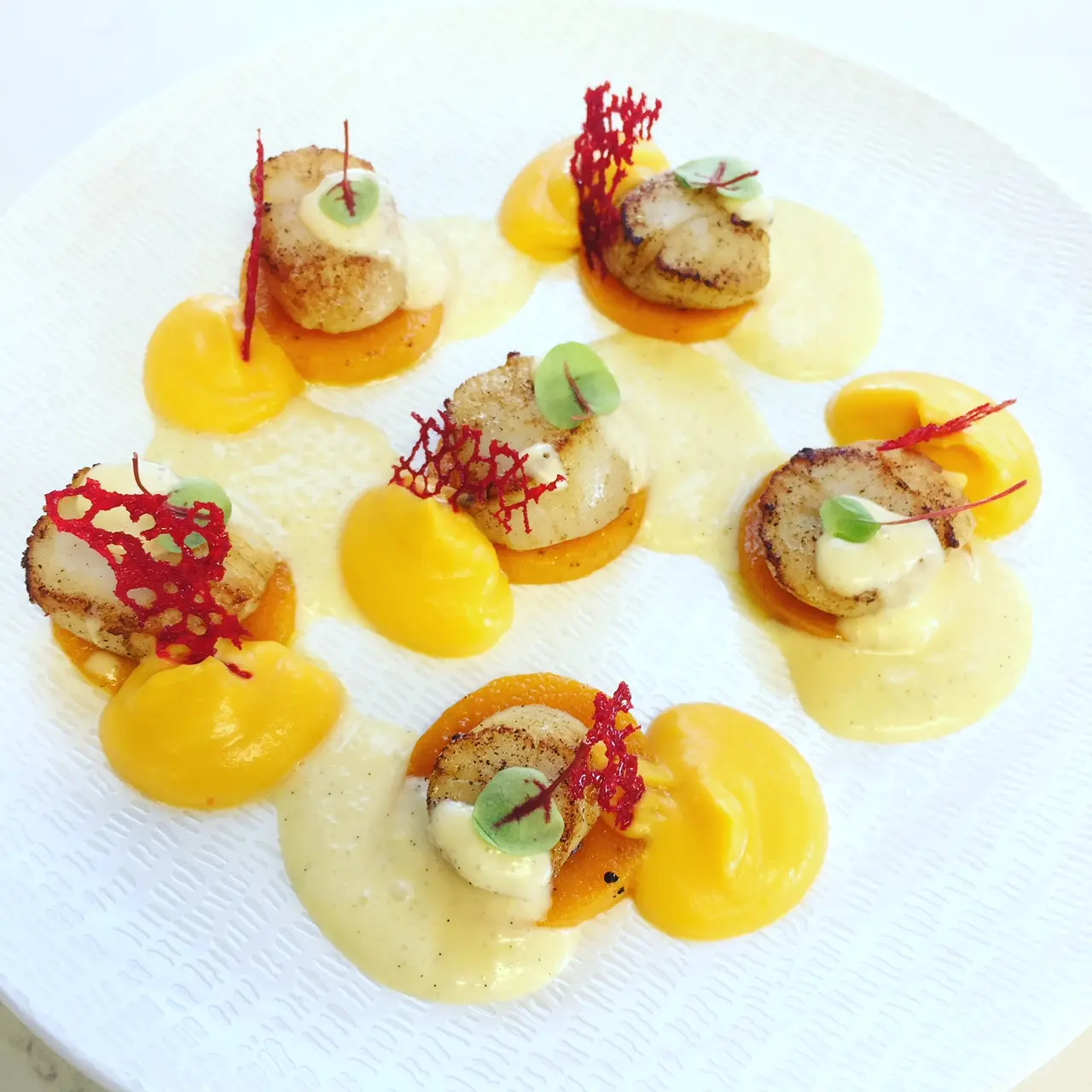 Menu Gourmand dégustation - Accord mets & vins
