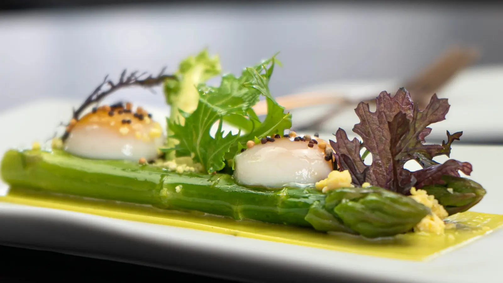 Menu saison "vegetal"