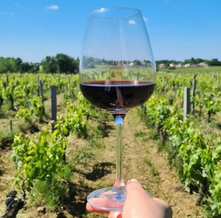 Dégustations différents verres & démonstration de carafage