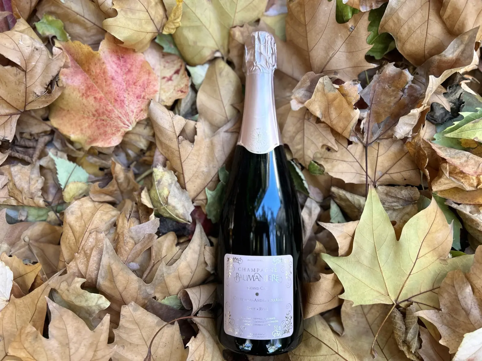 Champagne rosé Baumanière